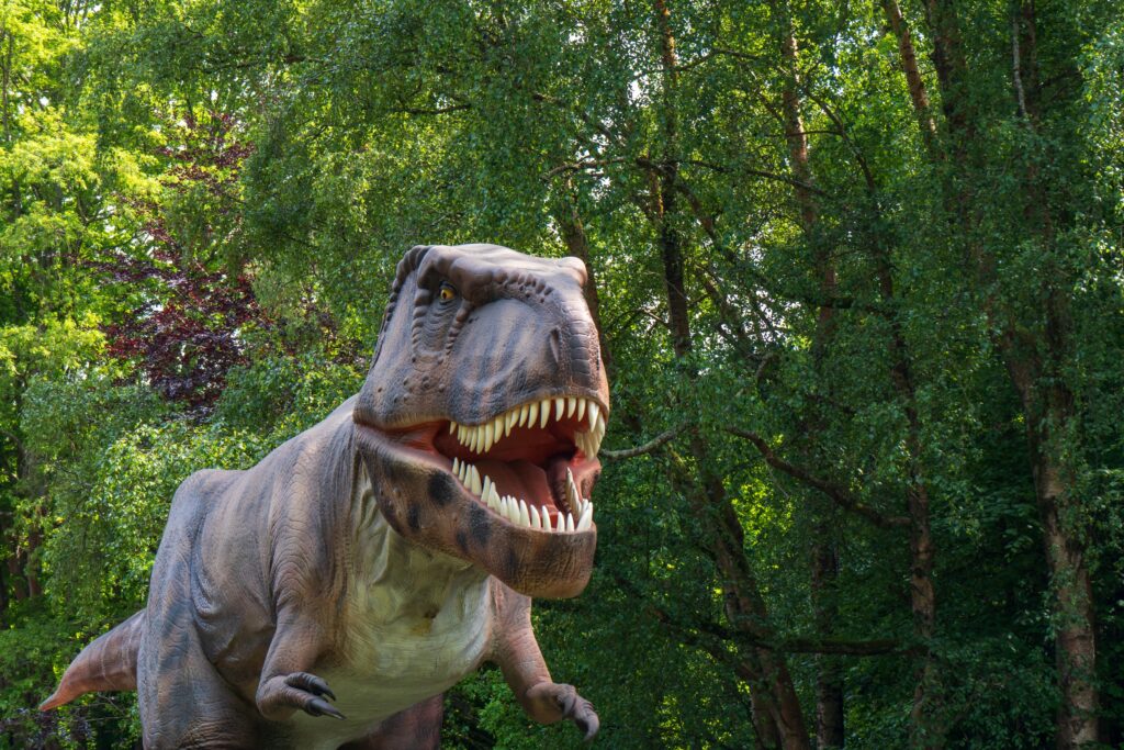 Overview of the Jurassic Period