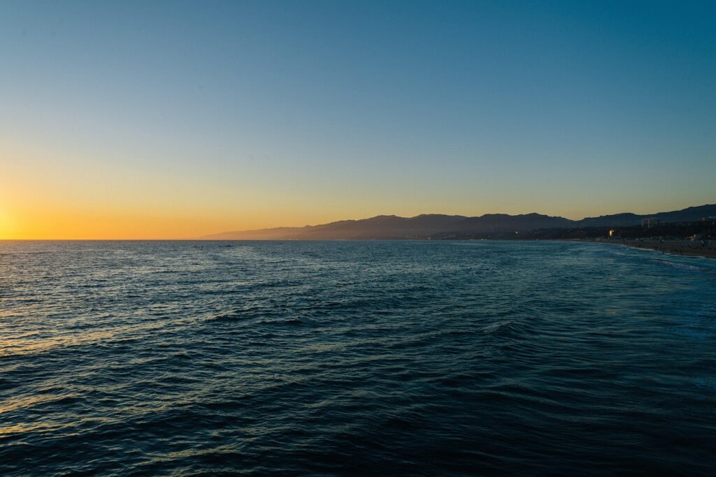 Waitrose Halts Mackerel Sales to Protect Declining Atlantic Stocks