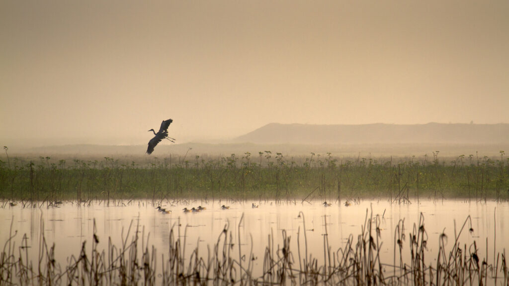 Nepal’s Hidden Lowlands Where Hospitality Reigns and Tradition Thrives